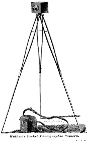 Walker Pocket Camera on tripod